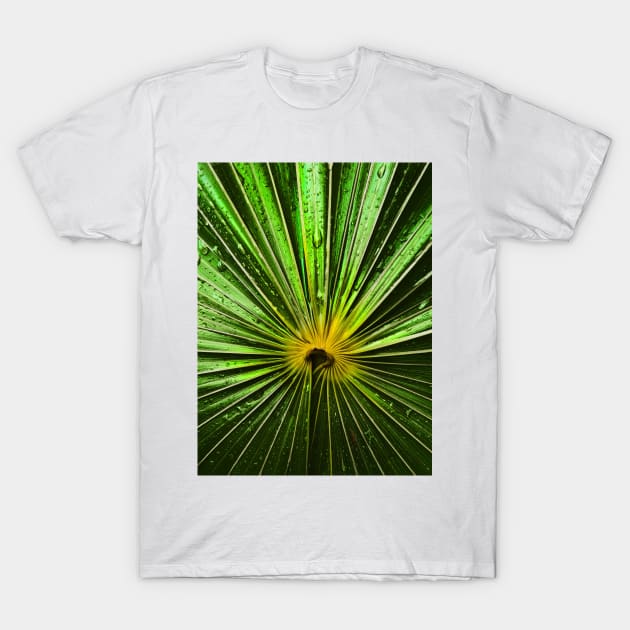 radiation T-Shirt by lastgasp